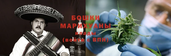 молекула духа Горно-Алтайск