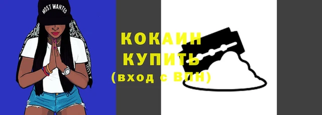 молекула духа Горно-Алтайск