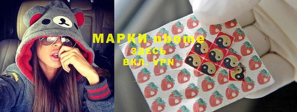 спиды Гусев