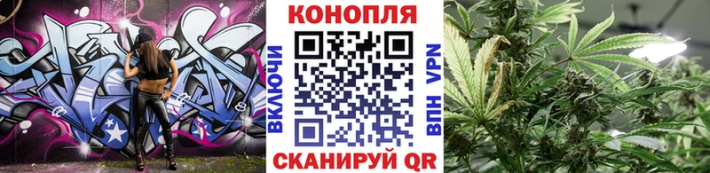 Шишки марихуана OG Kush  Пугачёв 